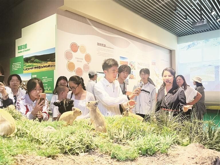 QQͼƬ20250717063037