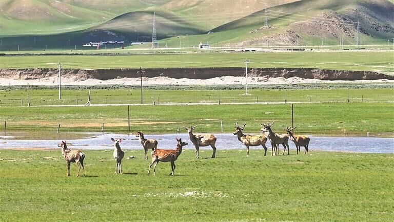 QQͼƬ20250903060824