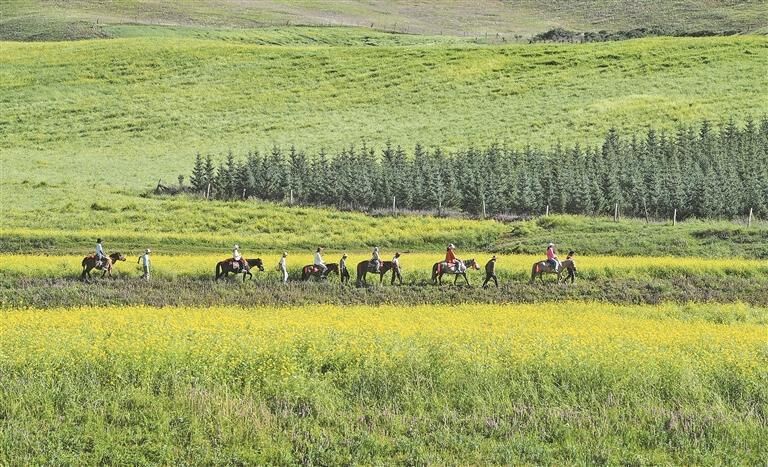 QQͼƬ20250903060832