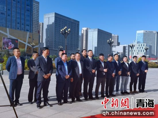 ͼΪ������ʽ�ֳ����ź�����