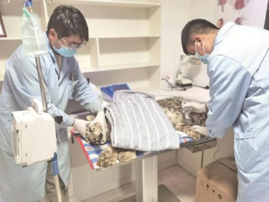 Î÷º£¶¼Êб¨ Î÷º£¶¼Êб¨