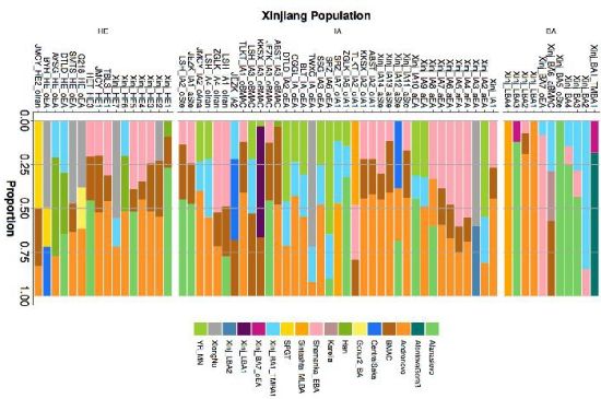 ²»Í¬Ê±ÆÚн®ÈËȺµÄqpAdm admixture±ÈÀý¡£ÖпÆÔº¹Å¼¹×µËù ¹©Í¼ ²»Í¬Ê±ÆÚн®ÈËȺµÄqpAdm admixture±ÈÀý¡£ÖпÆÔº¹Å¼¹×µËù ¹©Í¼