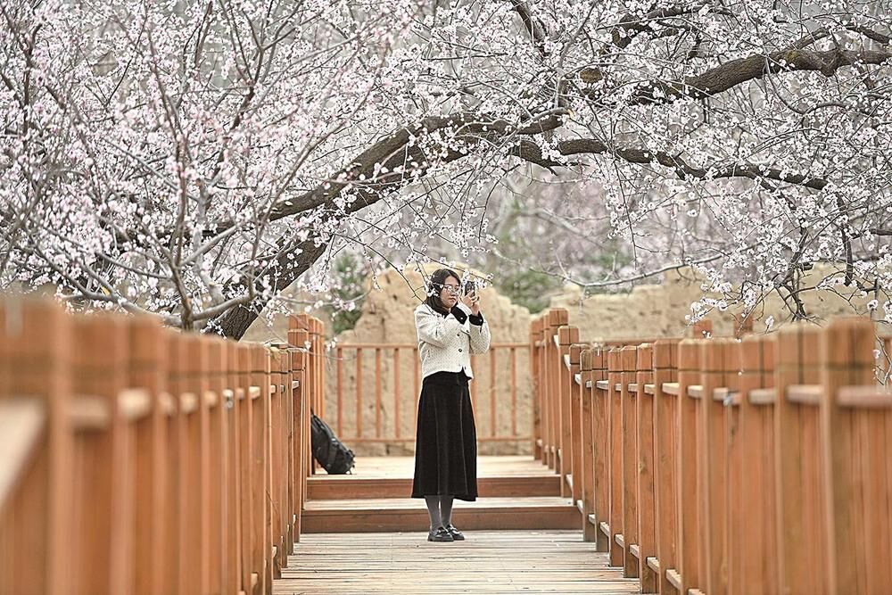 QQͼƬ20240403064225