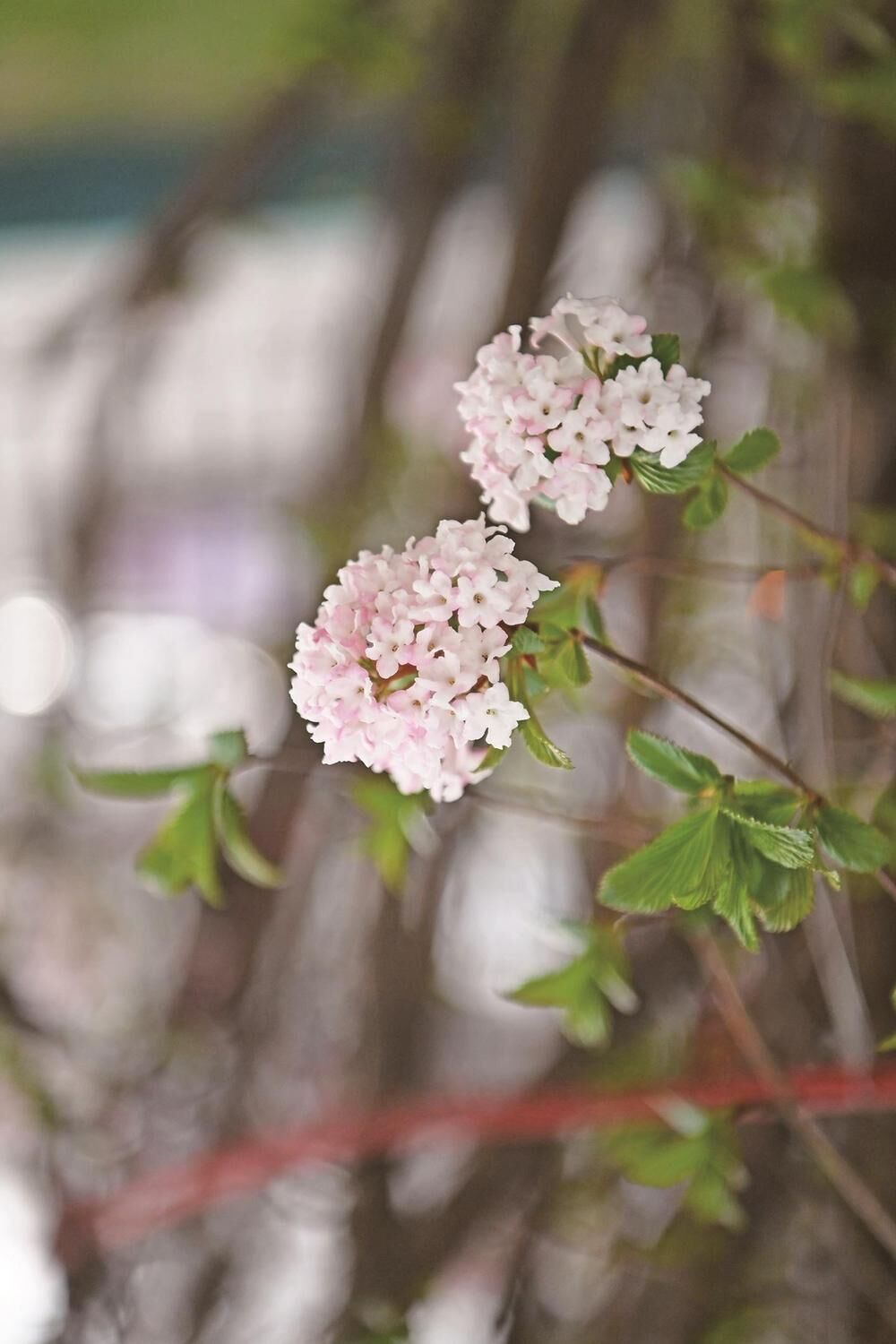 QQͼƬ20240403064216