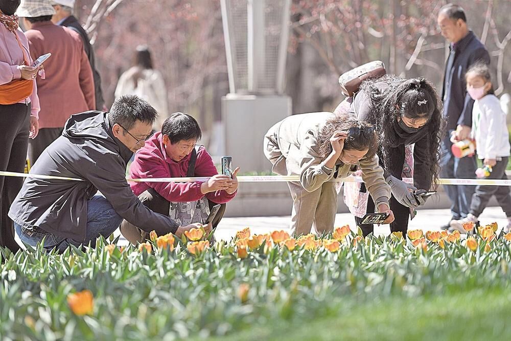 QQͼƬ20240412062433