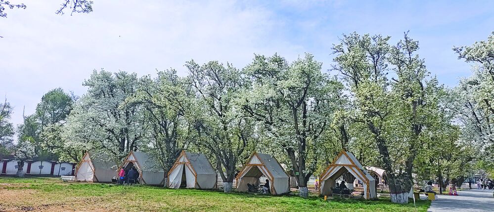 QQͼƬ20240416061240