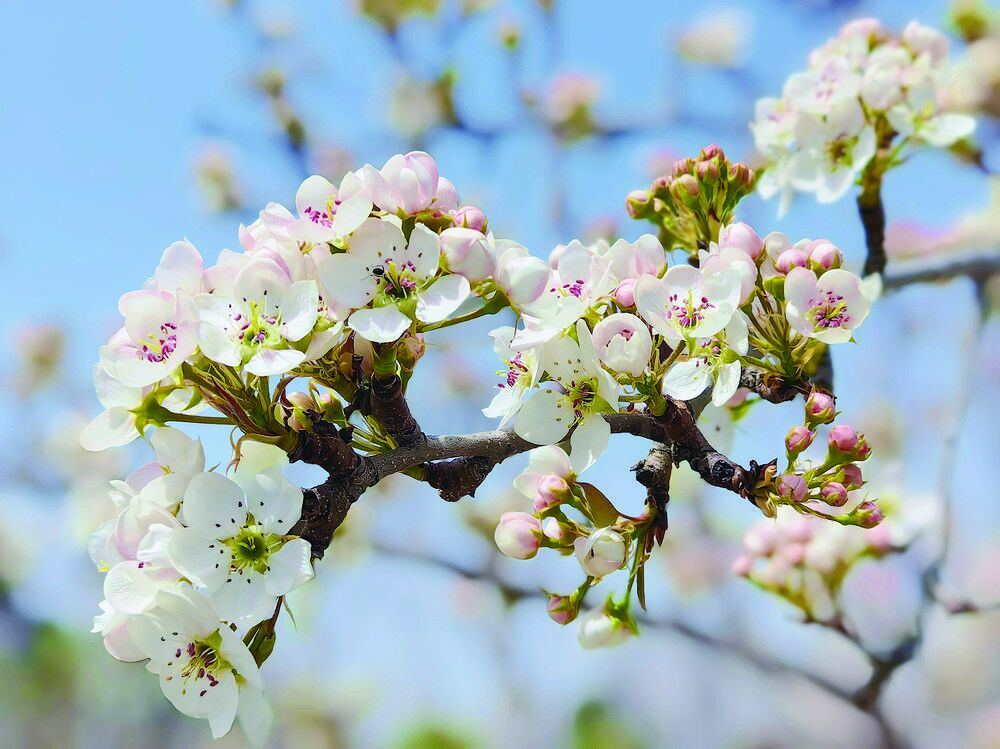 QQͼƬ20240418060814