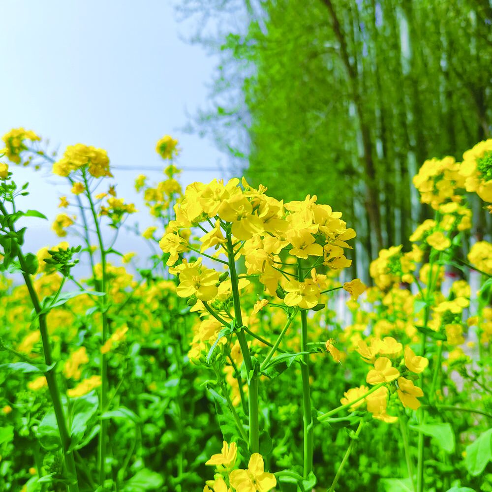 QQͼƬ20240418060846