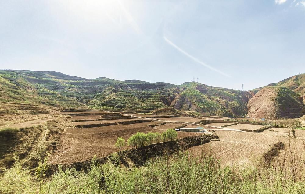 QQͼƬ20240515063415