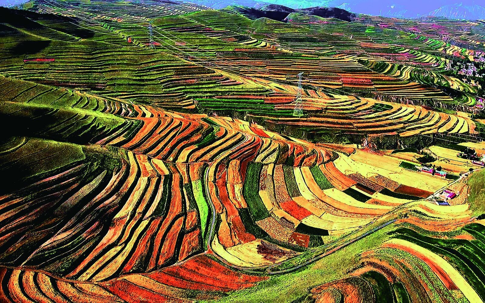 QQͼƬ20241023055805