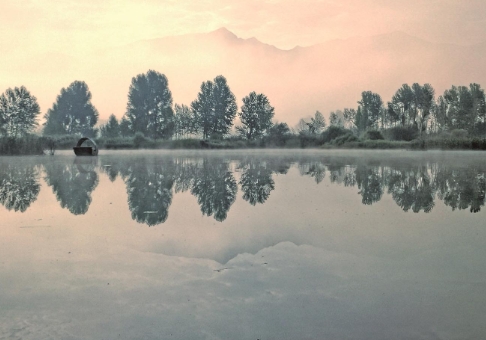 ΢ÐŽØÍ¼_20241111070952