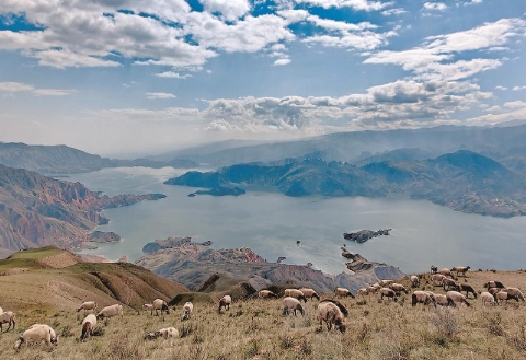 ΢ÐŽØÍ¼_20241111070959