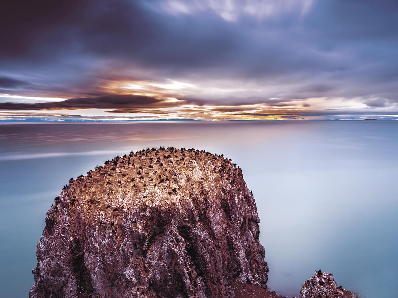 QQͼƬ20250423061550