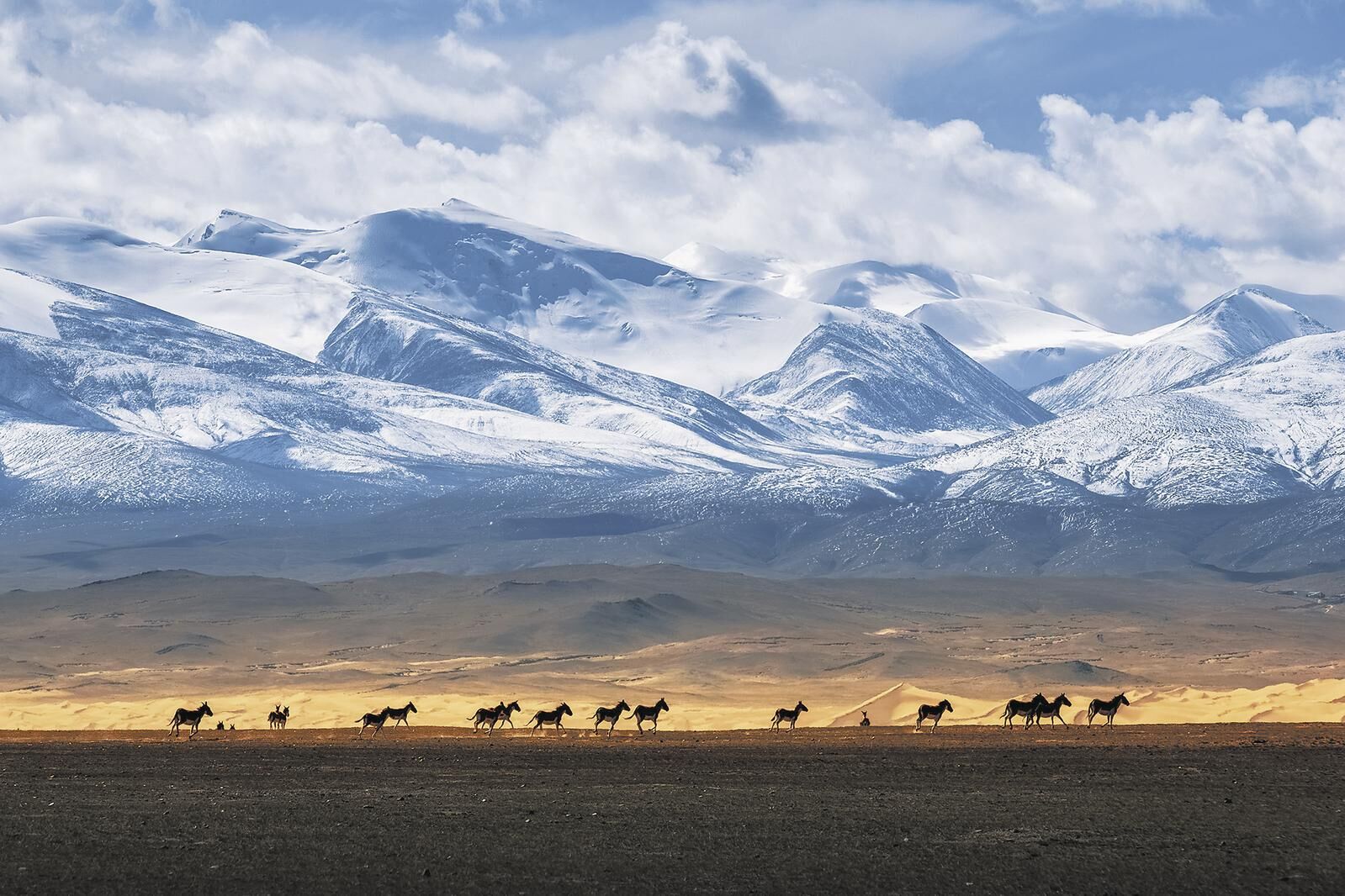 QQͼƬ20250423061606