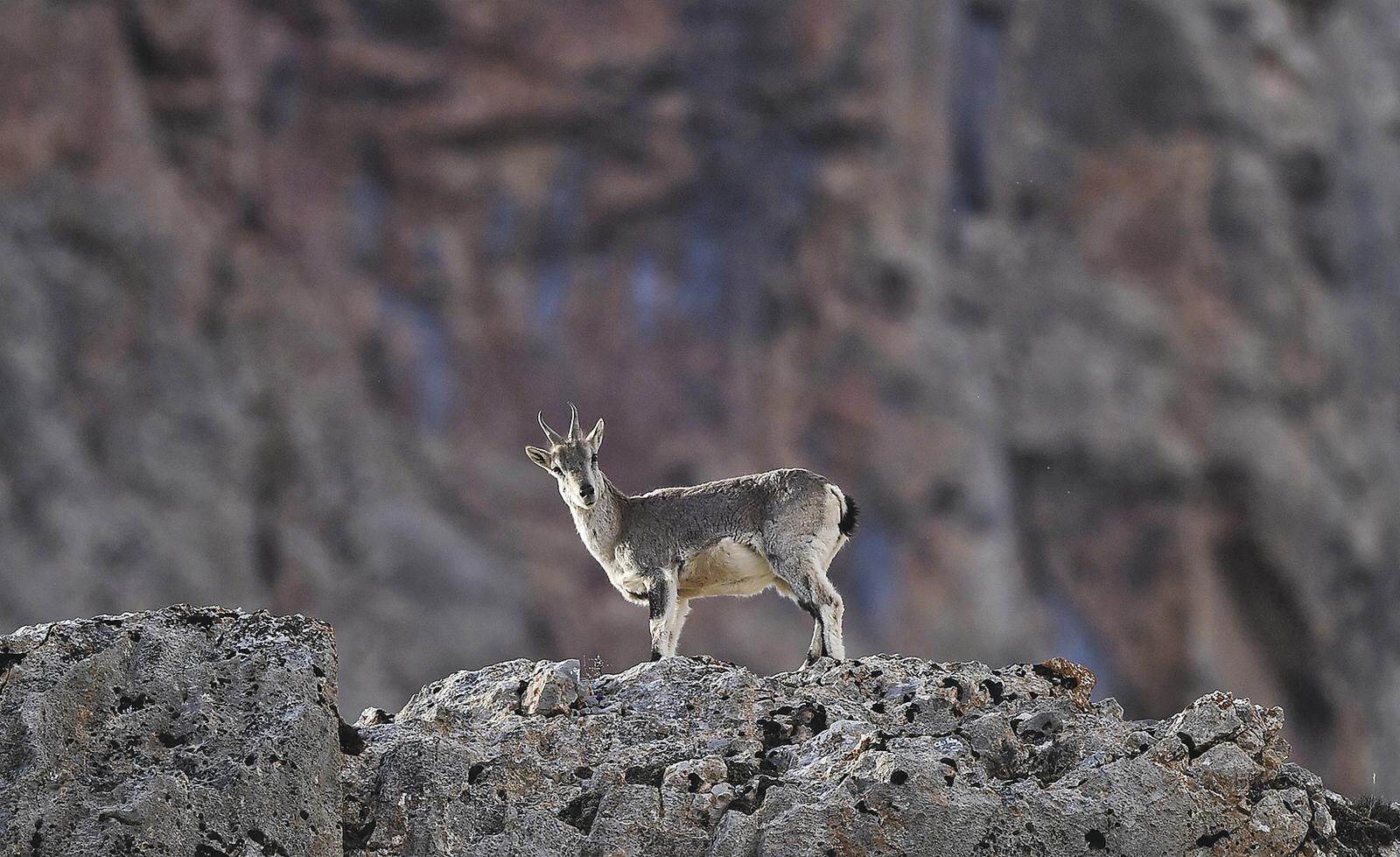 QQͼƬ20250611062323