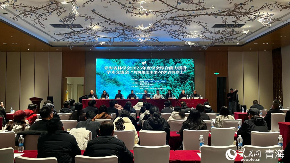 交流会现场。实习生 马司宇摄