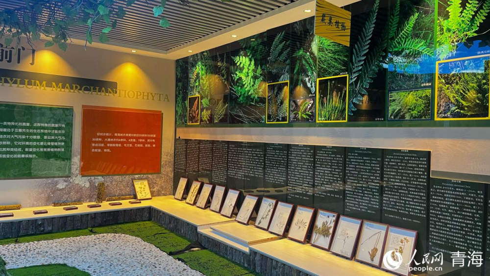 察汗河森林公园生物多样性科普实验教育基地。实习生 马司宇摄