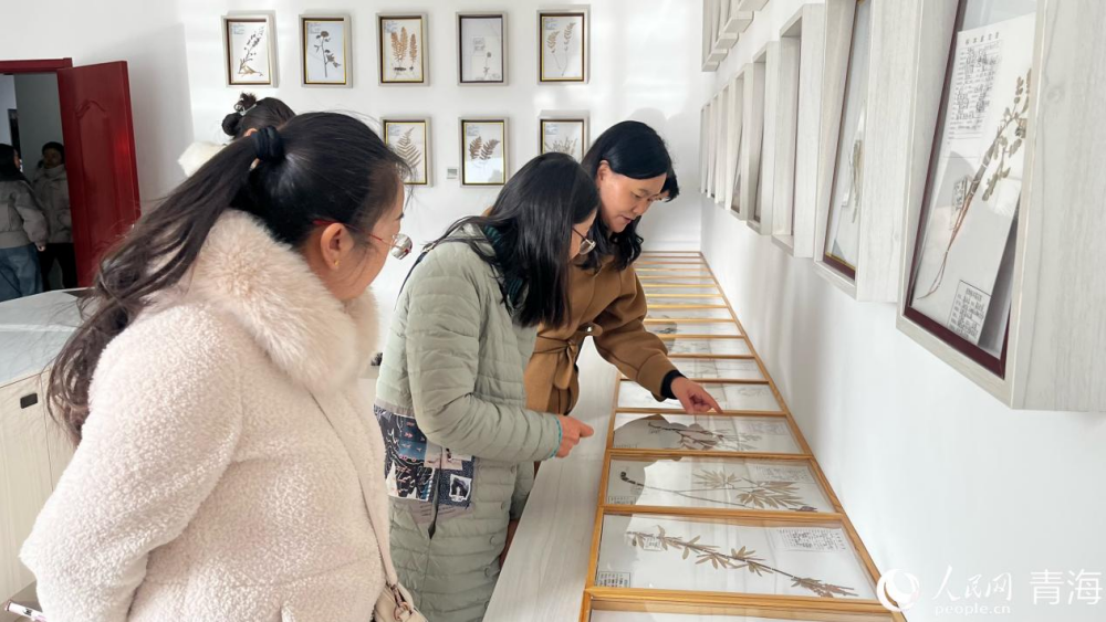 与会代表参观研究各类标本。实习生 马司宇摄