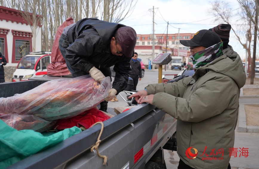 �����Ͷ��⡣���������� ������