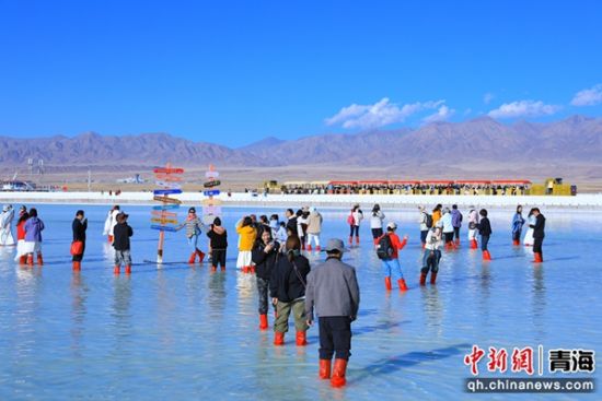 ͼΪ�ο��ڲ迨�κ����������������� ��