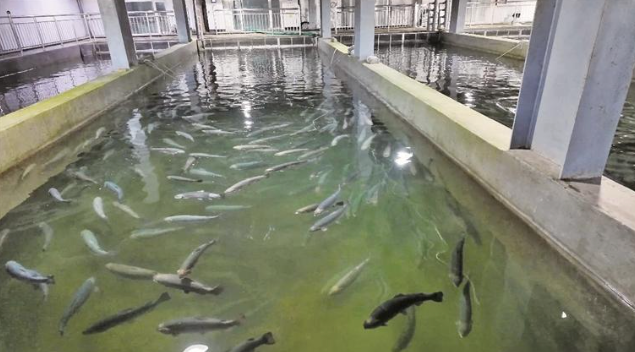 5e440945-177f-4ac4-9363-c7cef0e9f052