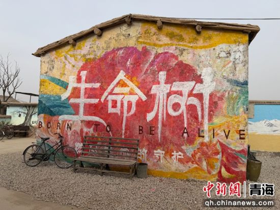 图为《生命树》取景地。董玲 摄 图为《生命树》取景地。董玲 摄