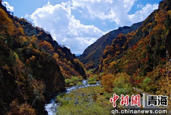 ����ͼΪ��ͨ�ؾ��ڷ羰�续�� ��ͨ��ί��������ͼ