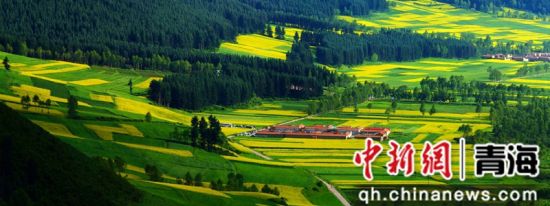 ����ͼΪ��ͨ�ؾ������ ��ͨ��ί��������ͼ