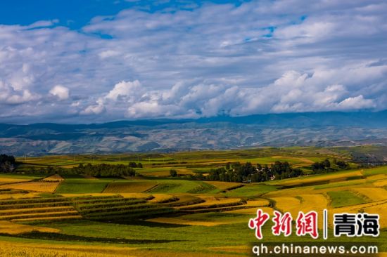 ����ͼΪ��ͨ�ؾ������ ��ͨ��ί��������ͼ