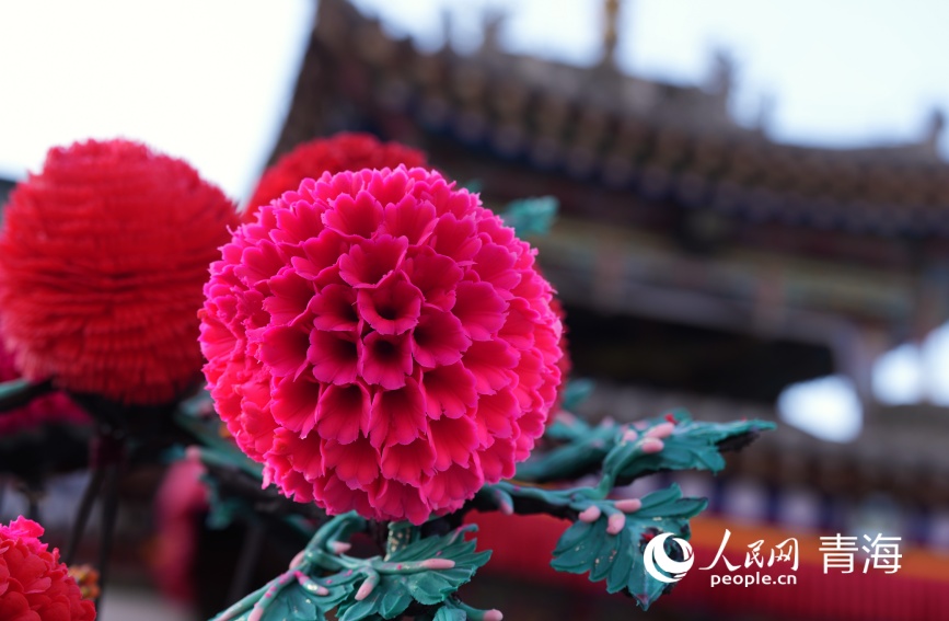 ���������ͻ������������� �ʺ�����