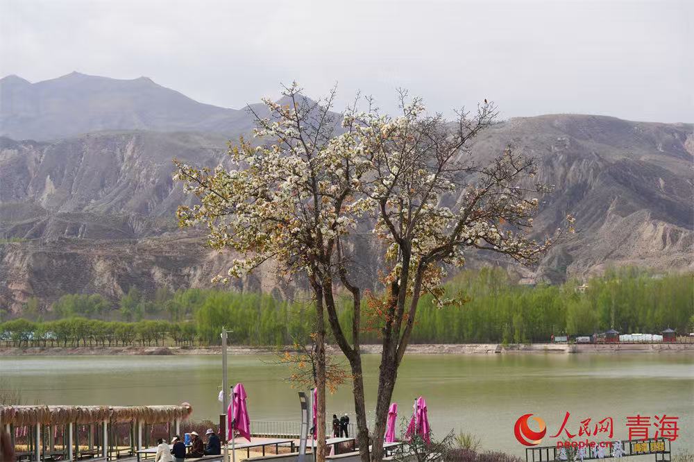 登高俯瞰清水湾。人民网 顾斐菲摄