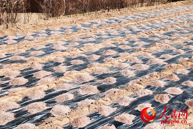 3��24�գ�ר�ô����ε���ˮ����ׯ�壬�����������֡����������� ��������