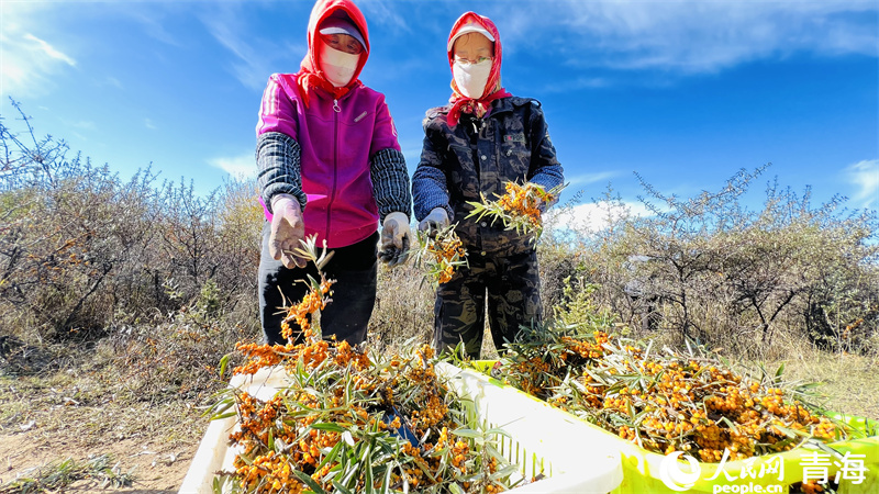 ɳ�����ա������� ��쳷���