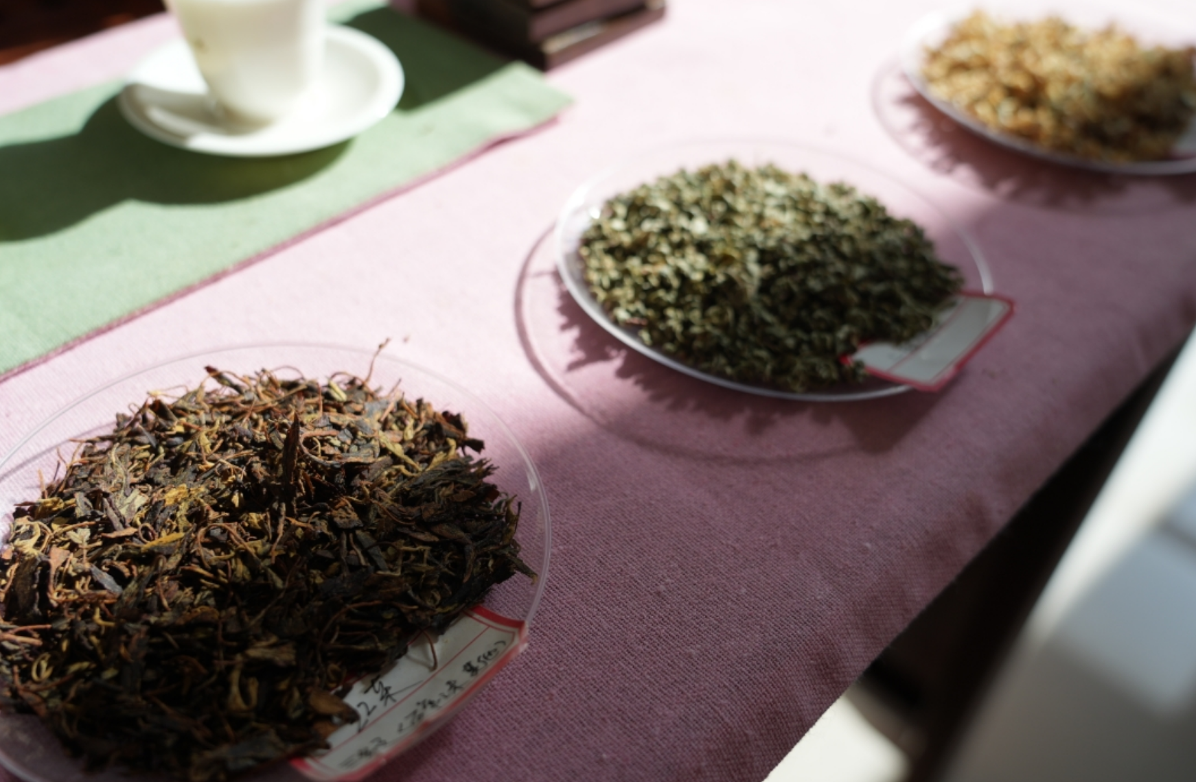 �����ຣ����Ĳز衣���������� �ʺ�����