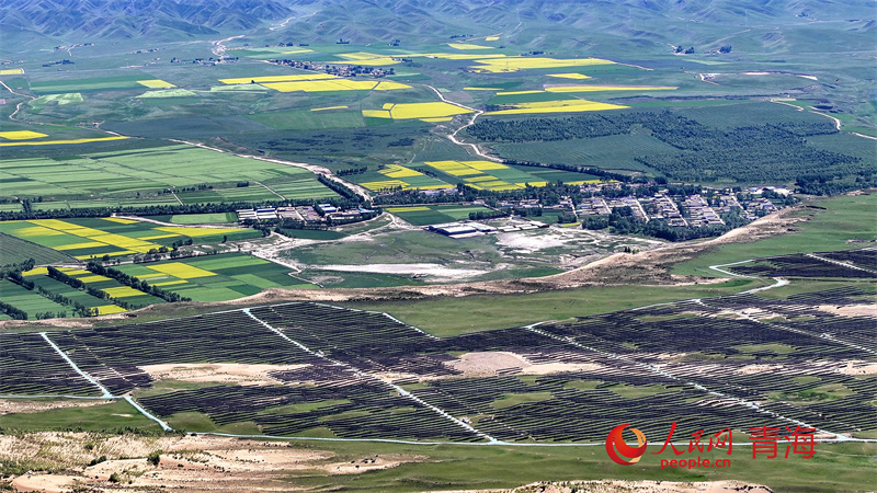 ���յ�ľ��̲���ⰻȻ�������� ��쳷���